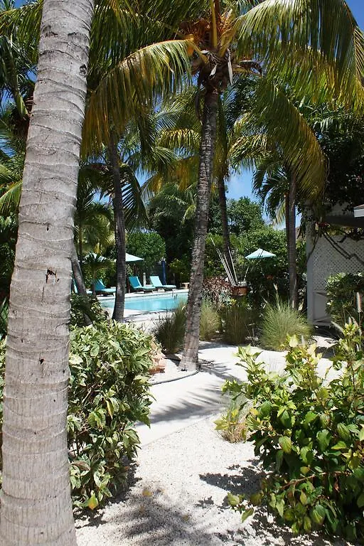 גרייס ביי Caribbean Paradise Inn גרייס ביי