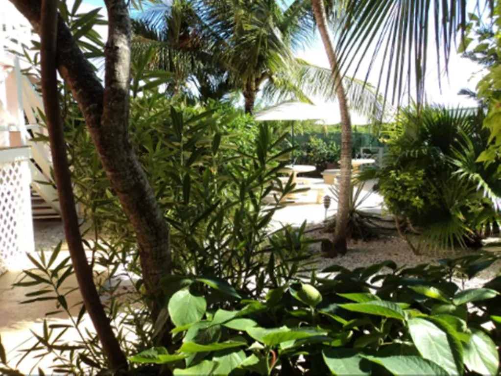 גרייס ביי Caribbean Paradise Inn 3*, גרייס ביי איי טרקס וקייקוס