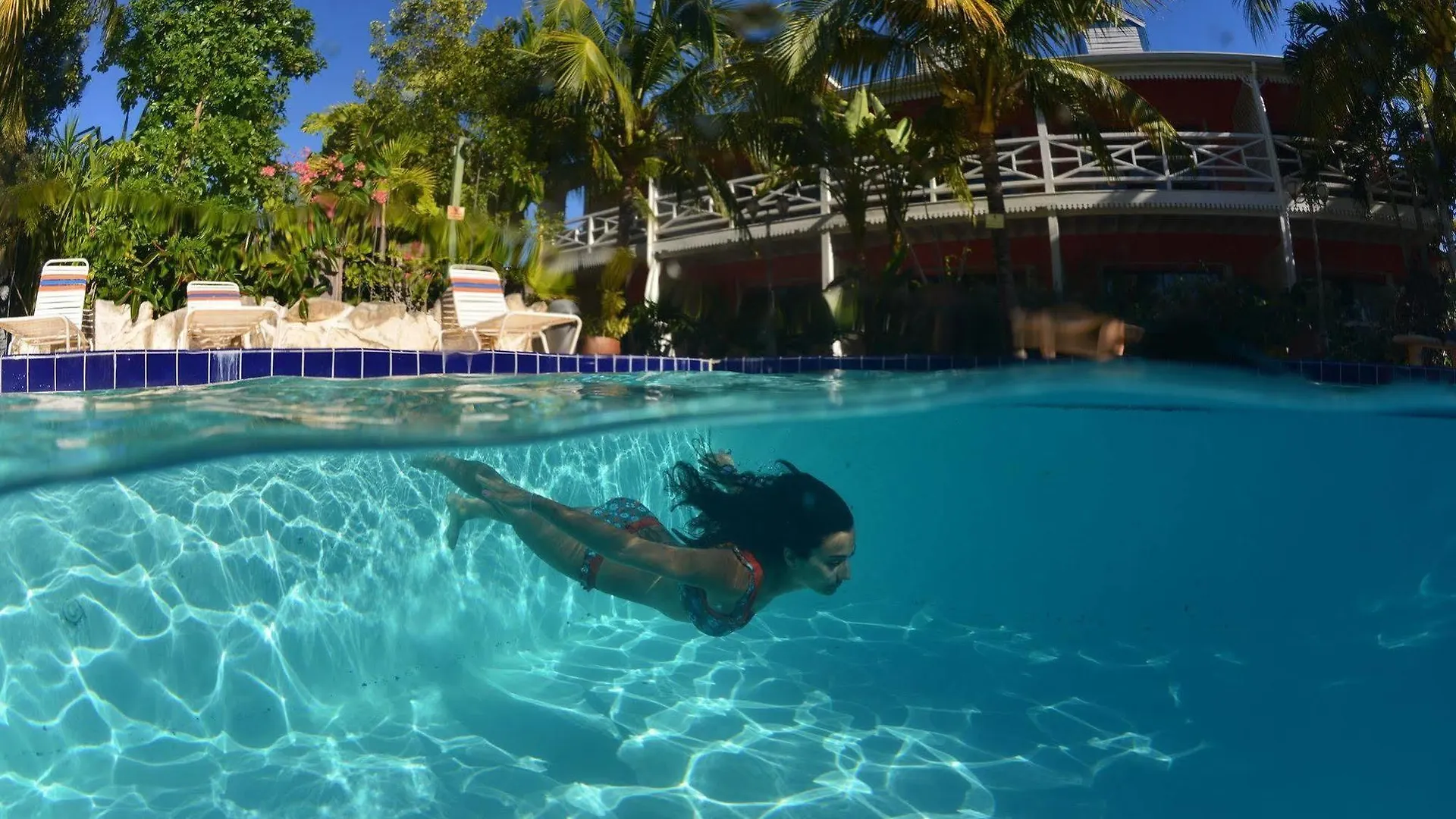 מלון גרייס ביי Caribbean Paradise Inn